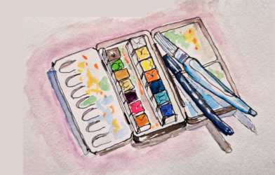 Carnet de voyage à L'Ascension